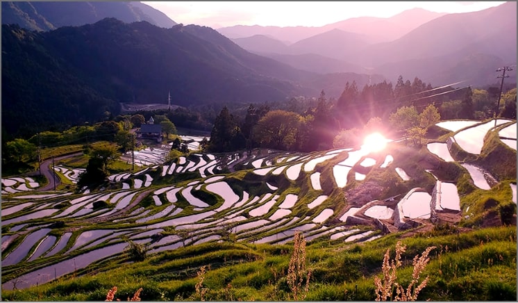 Maruyama Senmaida (rice terraces)