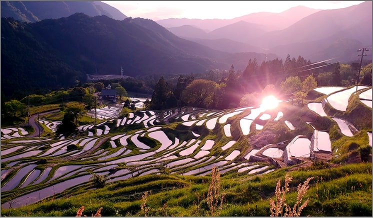 丸山千枚田